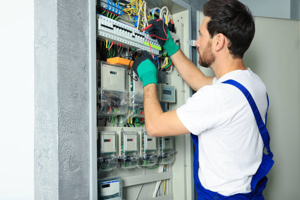 Best Electric Panel Repair  in Cape May Court House, NJ